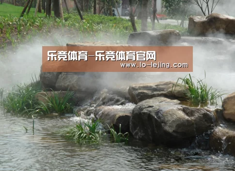 案例展示五(图1)