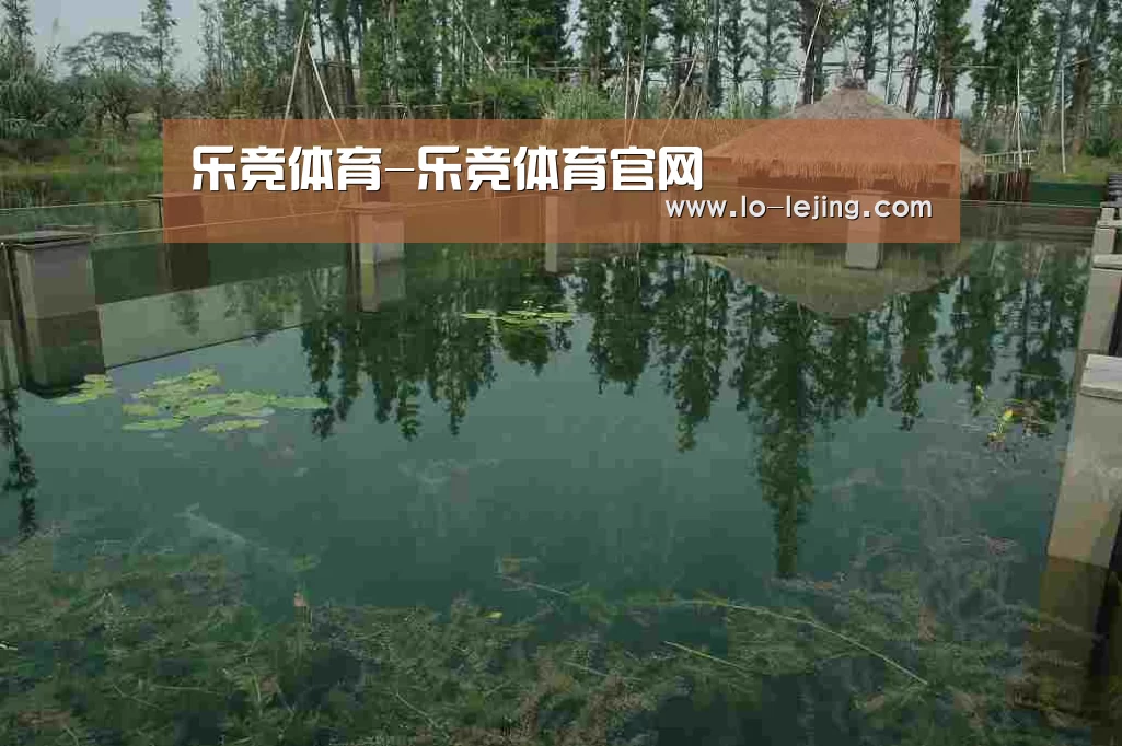 案例展示二(图1)