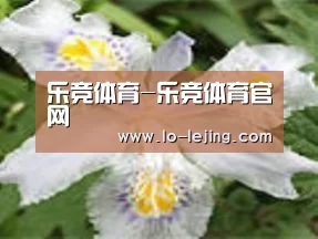产品名称二