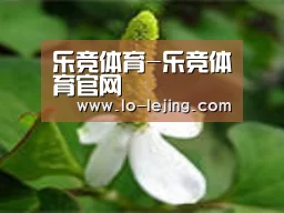 产品名称三