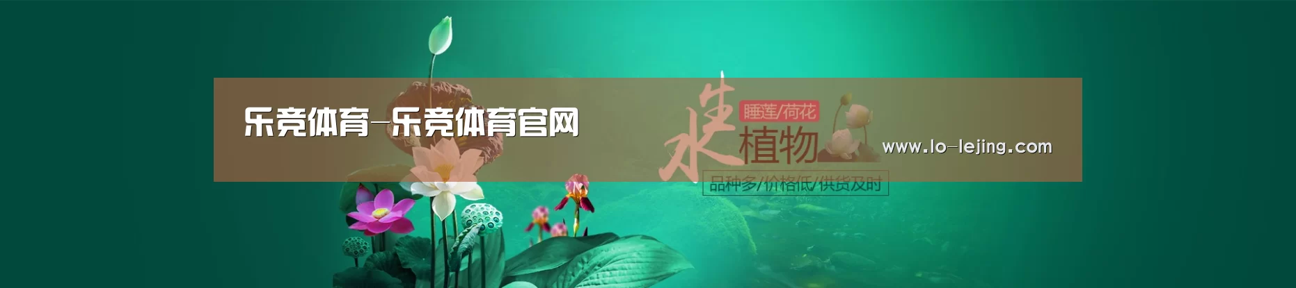 鲜花水草花卉网站模板